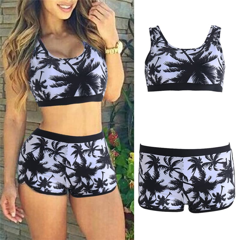 Conjunto Palmeira de Coco